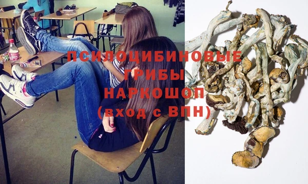 прущая мука Магас