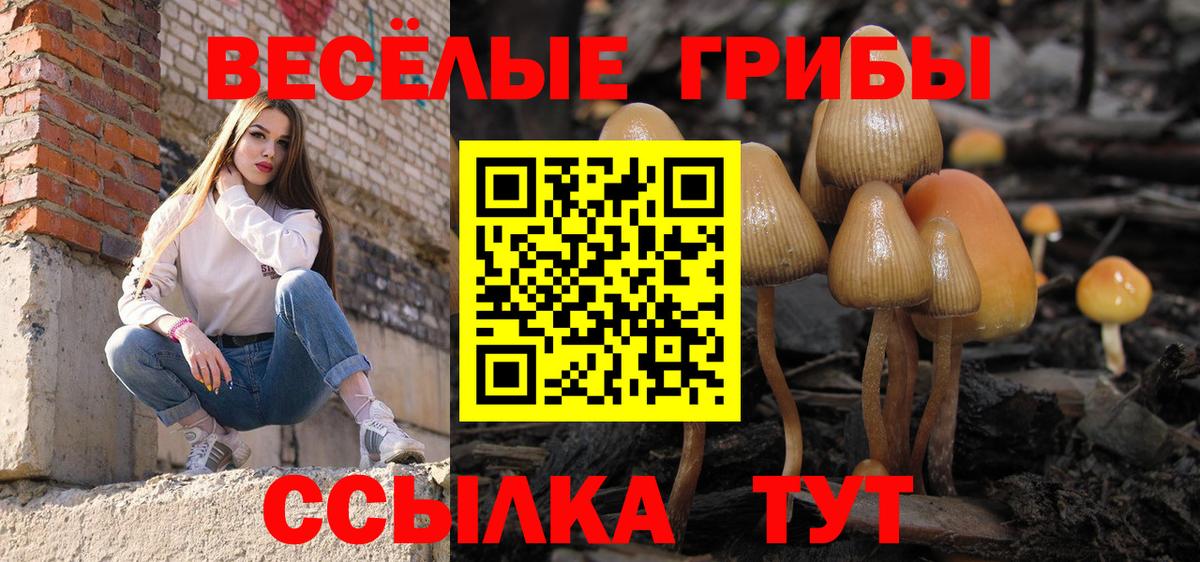 Строитель  Галлюциногенные грибы GOLDEN TEACHER  Псилоцибиновые грибы ЛСД  Вход с VPN 